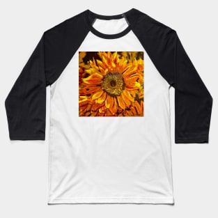 Solo Sunflower Baseball T-Shirt